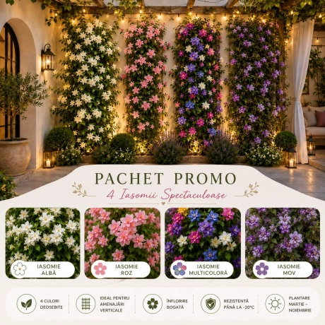 Pachet Promo Iasomie Parfumata - 4 Bucati