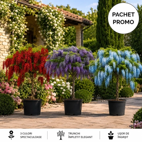 Pachet Promotional - Glicina Copacel