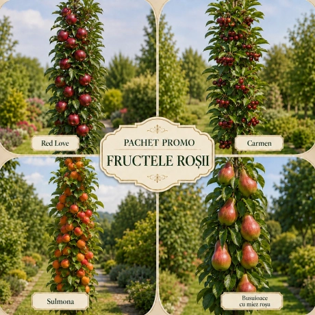 Pachet Promo 4 Pomi Fructiferi Columnari - Fructele Rosii