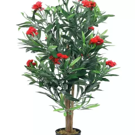 Leandru Pomisor - Rosu la Ghiveci