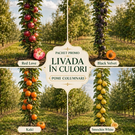 Pachet Promo Livada in Culori - 4 Pomi Fructiferi Columnari