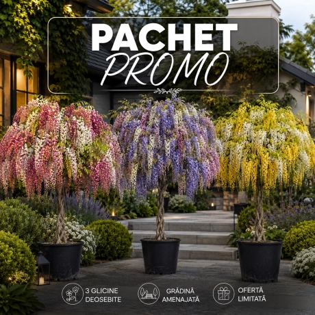 Pachet Promotional - Glicina Copacel