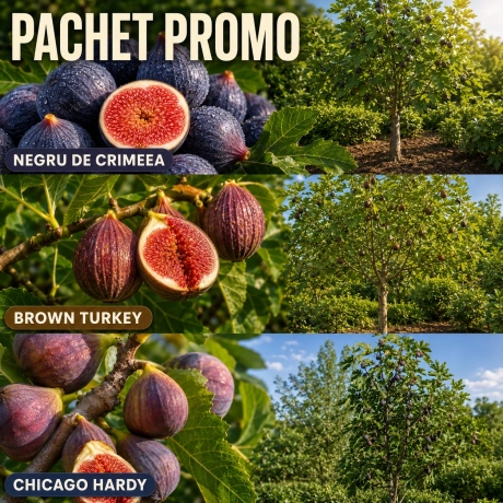 Pachet Trio Regal de Smochini - La Ghiveci