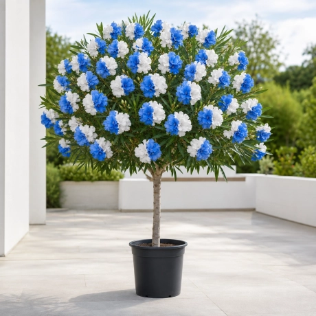 Leandru Tip Pomisor Blue Snow Parfumat - Rezistent La Ger