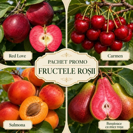 Pachet Promo 4 Pomi Fructiferi - Fructele Rosii